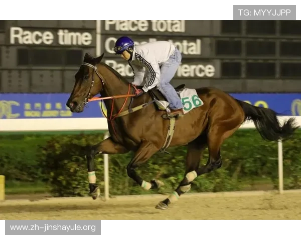 澳门赛马会历史背景与发展现状详解让你深入了解赛事魅力