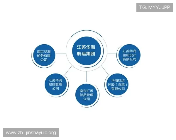 金沙集团官方网站网址查询流程详解及常见问题解答